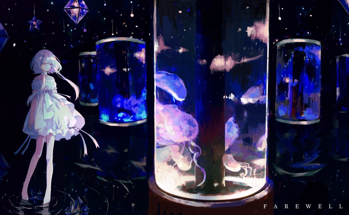 不伦瑞克狮王力挫群雄，蓄势待发再创佳绩