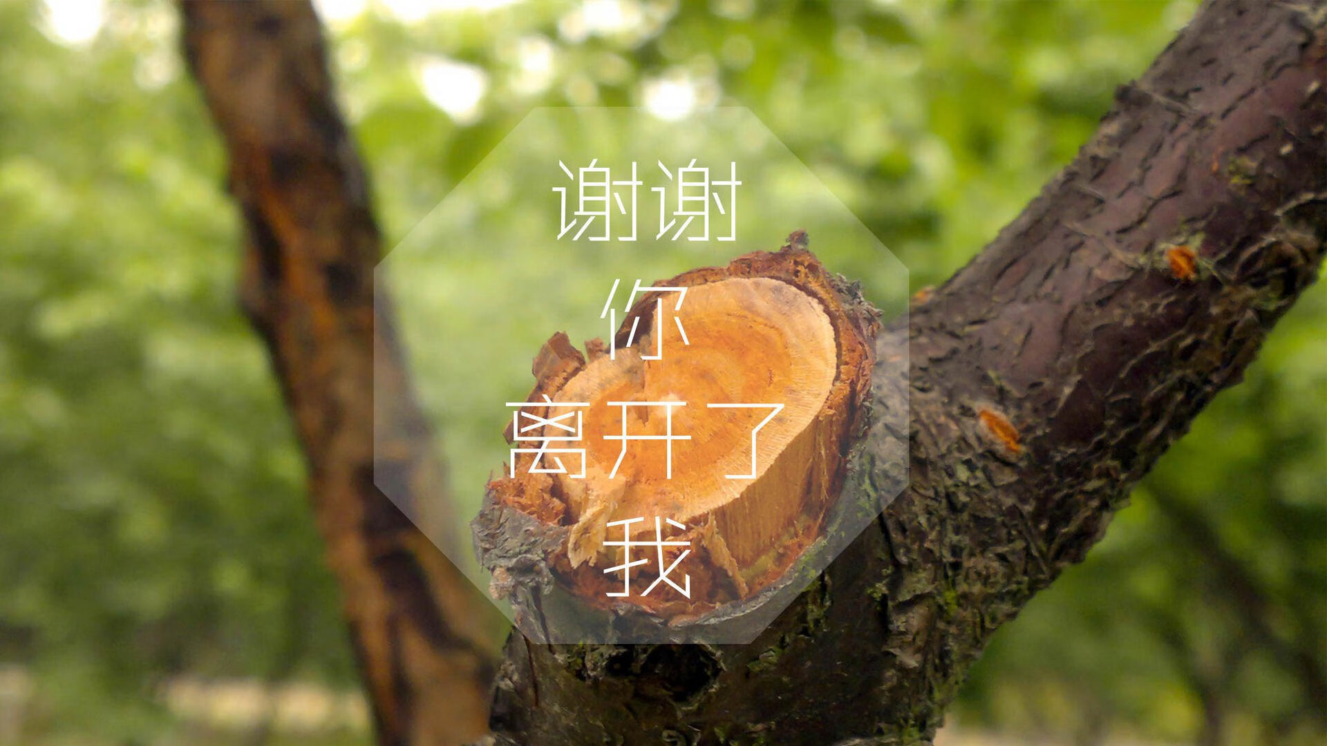 开云官网首页-保利斯塔球员伤病情况改善，保利斯特朗
