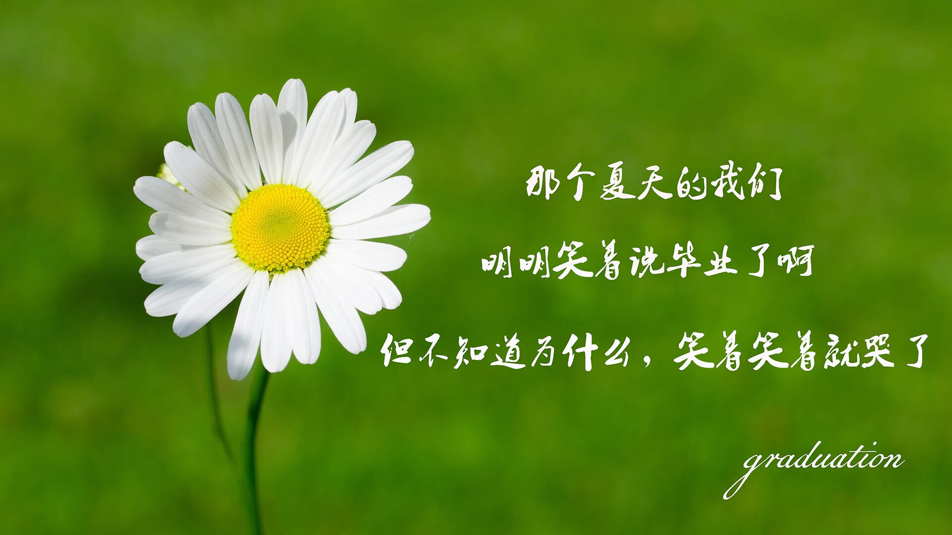 卡利亚里客场战平帕尔马，联赛前区分为空防出色，卡利亚里主力阵容