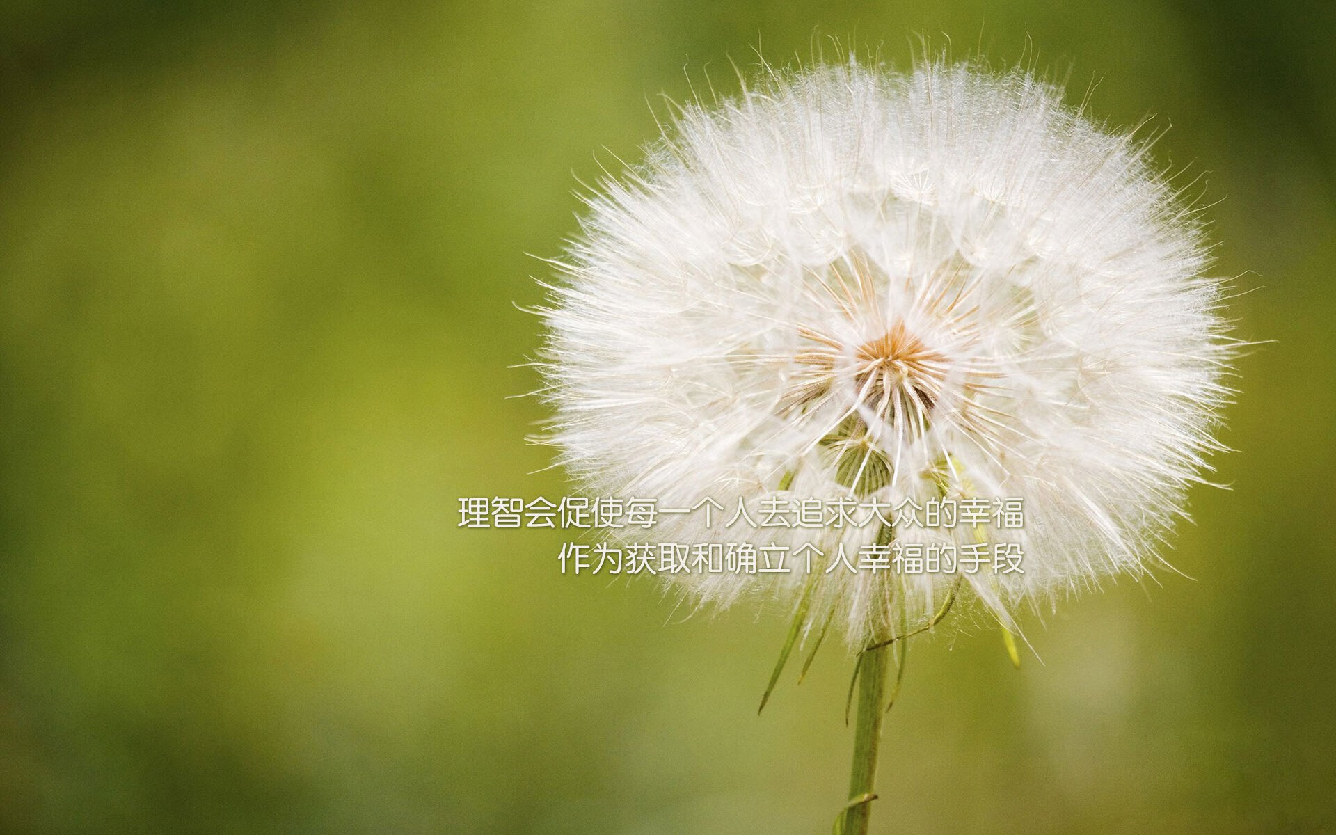 开云·Kaiyun网页版-比赛临近投入赛季规划，备战多线作战，战队赛季后赛的参赛资格