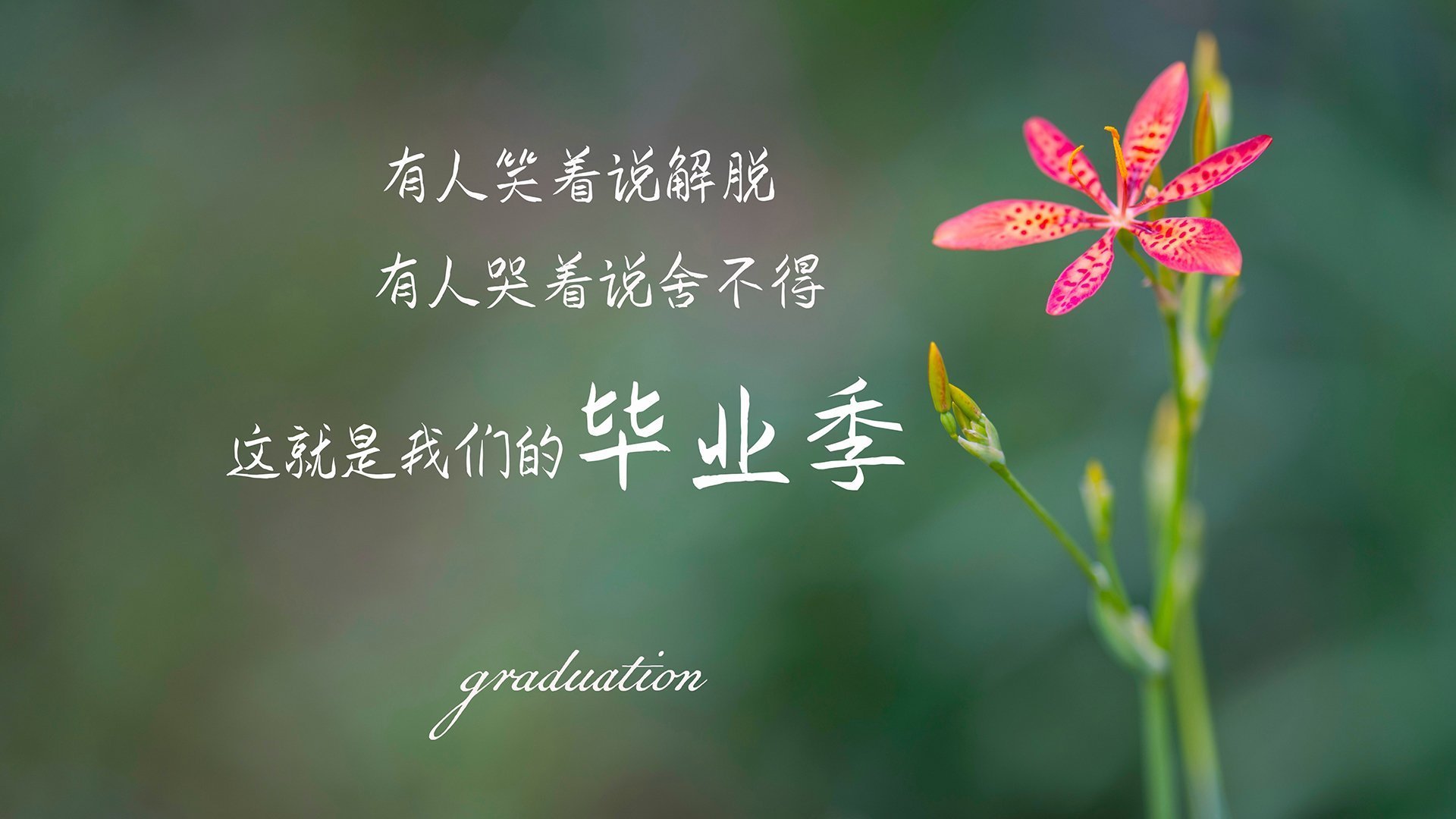 石油人球员健康状况良好，石油人球员健康状况良好的原因
