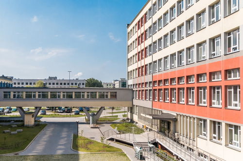 kaiyun体育app-中国青少年篮球课程体系现代化建设，《中国青少年篮球训练教学大纲(2013版)》