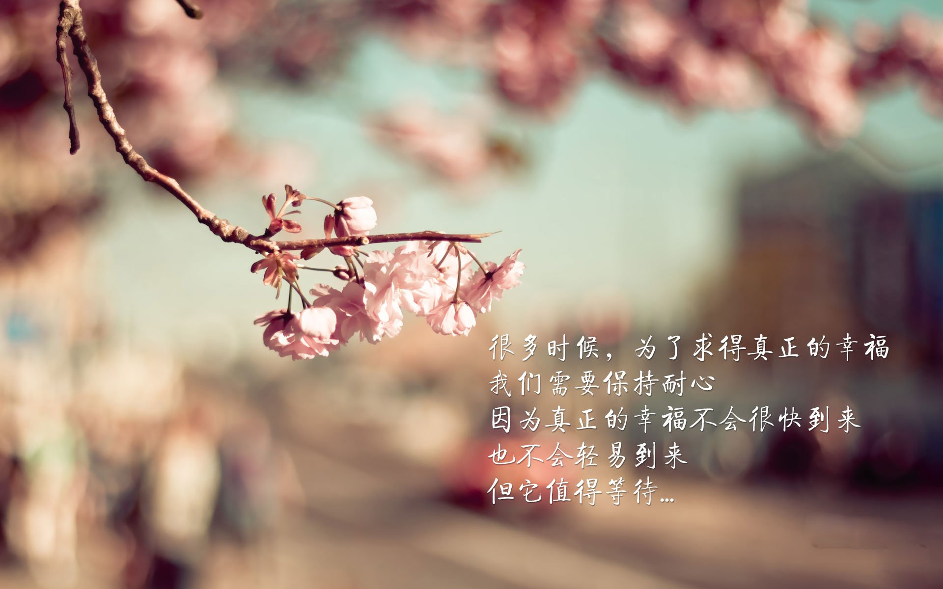 “沙滩手球与合球：天府新区沙滩赛场成竞技天堂”