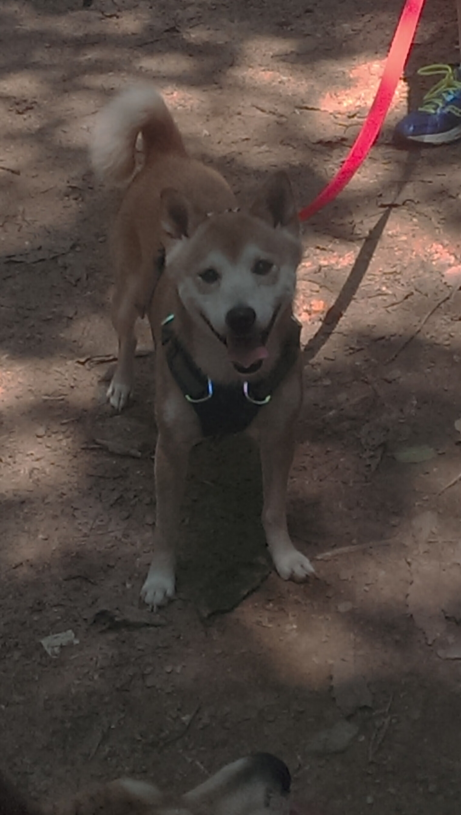 kaiyun中国官方网站-俱乐部文化理念无法传导至青训层级，俱乐部企业文化一般怎么写