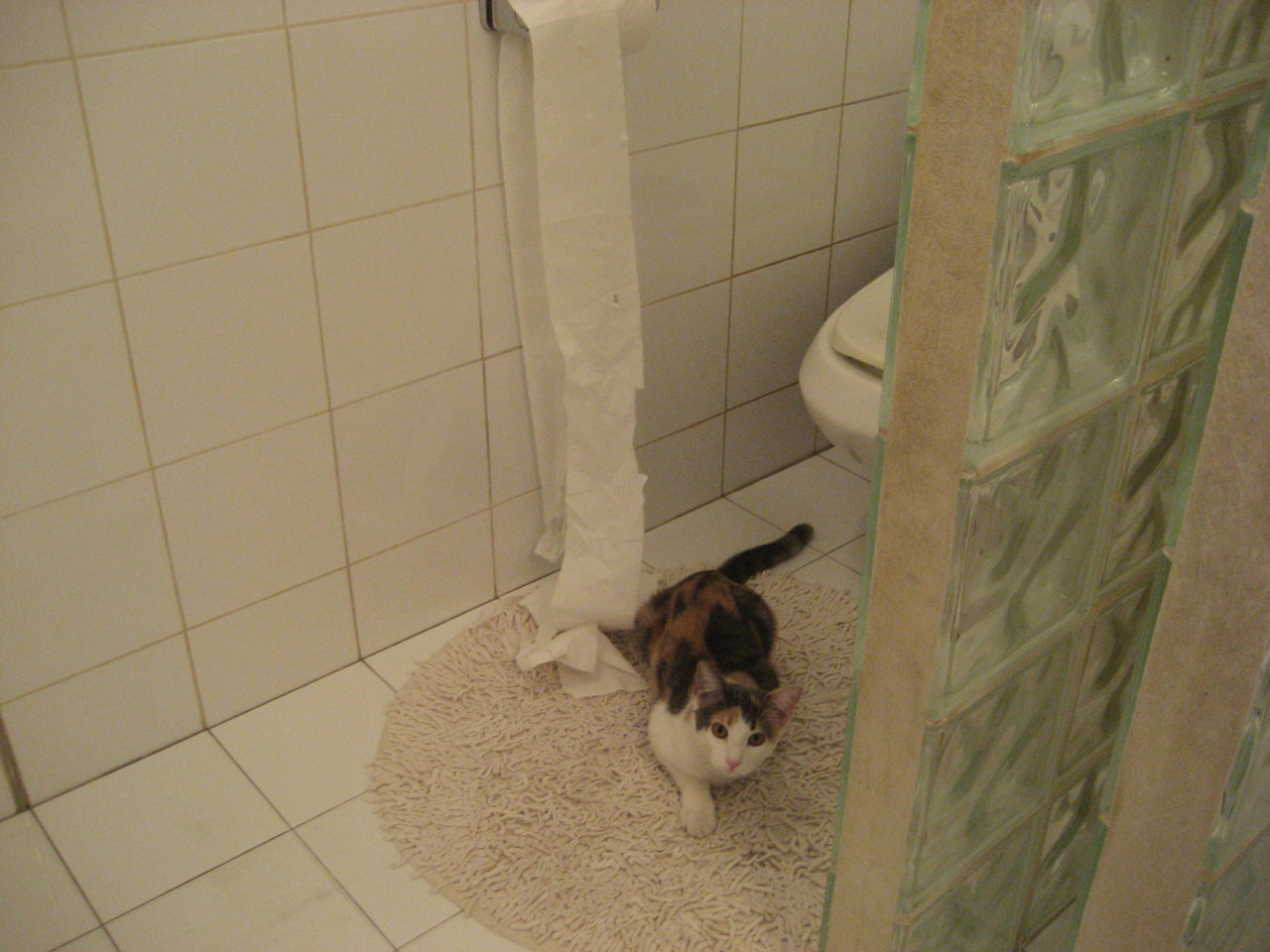 国家健身指导中心推广全民健康理念,国家健身指导中心推广全民健康理念活动