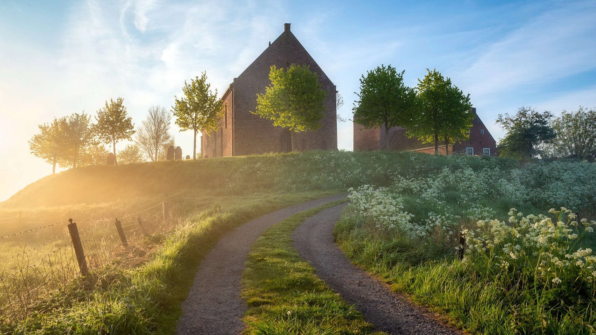 开云体育中国官网-国际乒联混合团体世界杯赛制解析：德国队如何克服不利因素，乒乓球德国世界杯