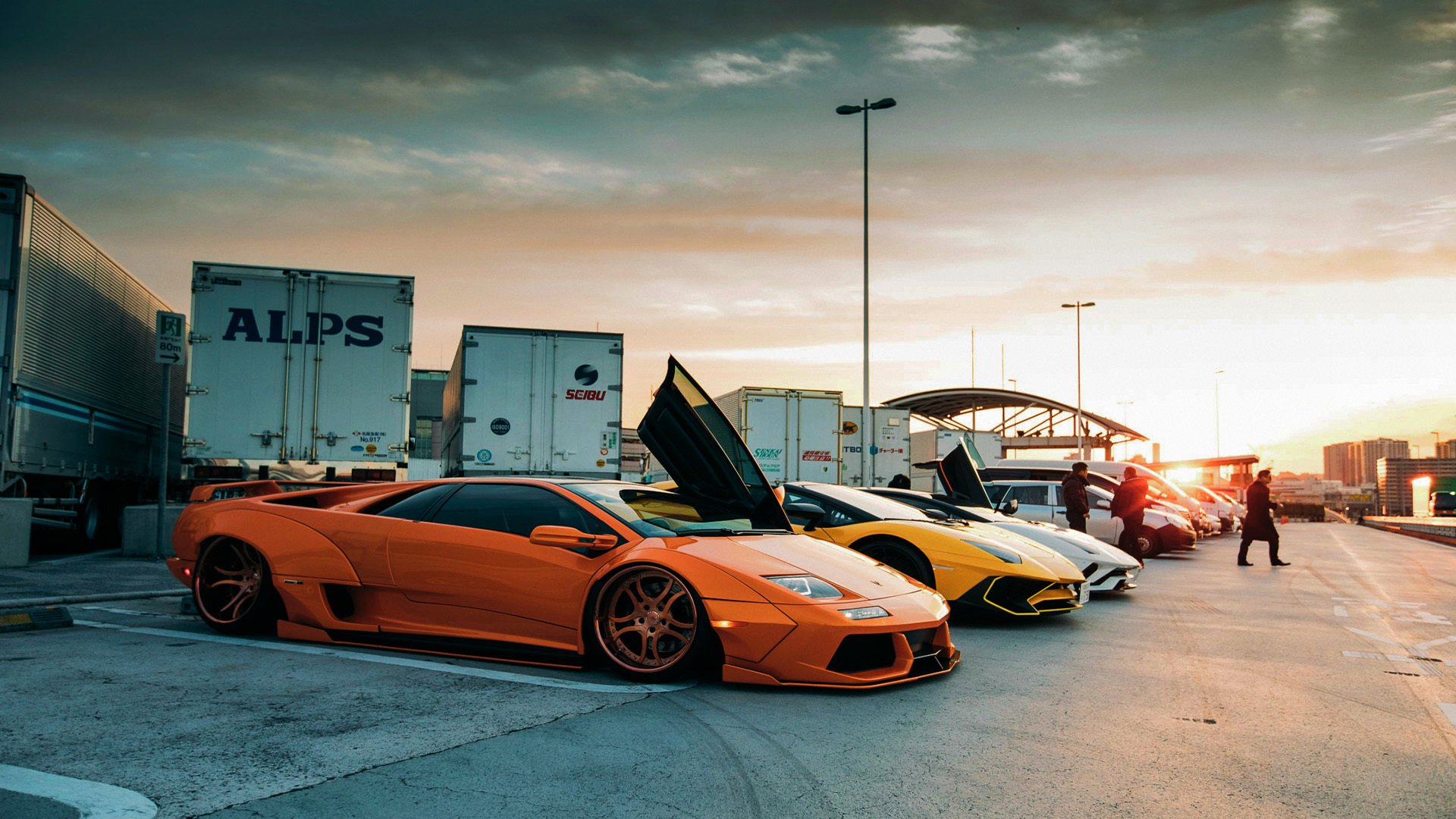 自由搏击实战训练方式持续优化,自由搏击训练动作