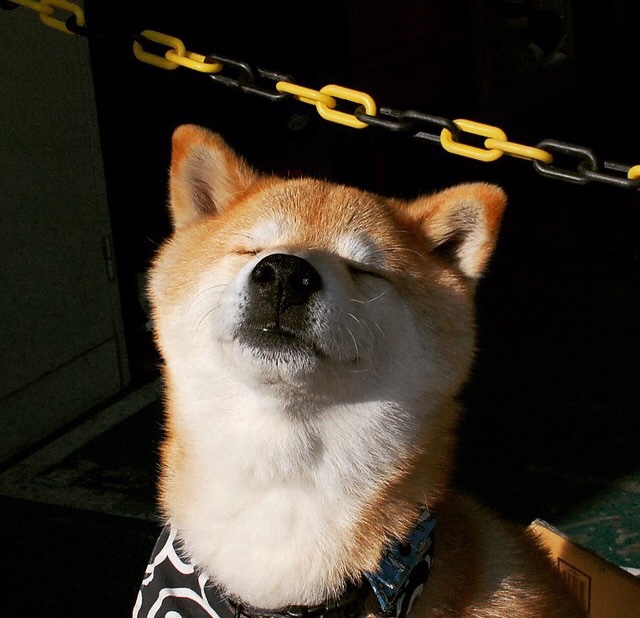 CBA常规赛收官广东稳居榜首,cba广东常规赛冠军