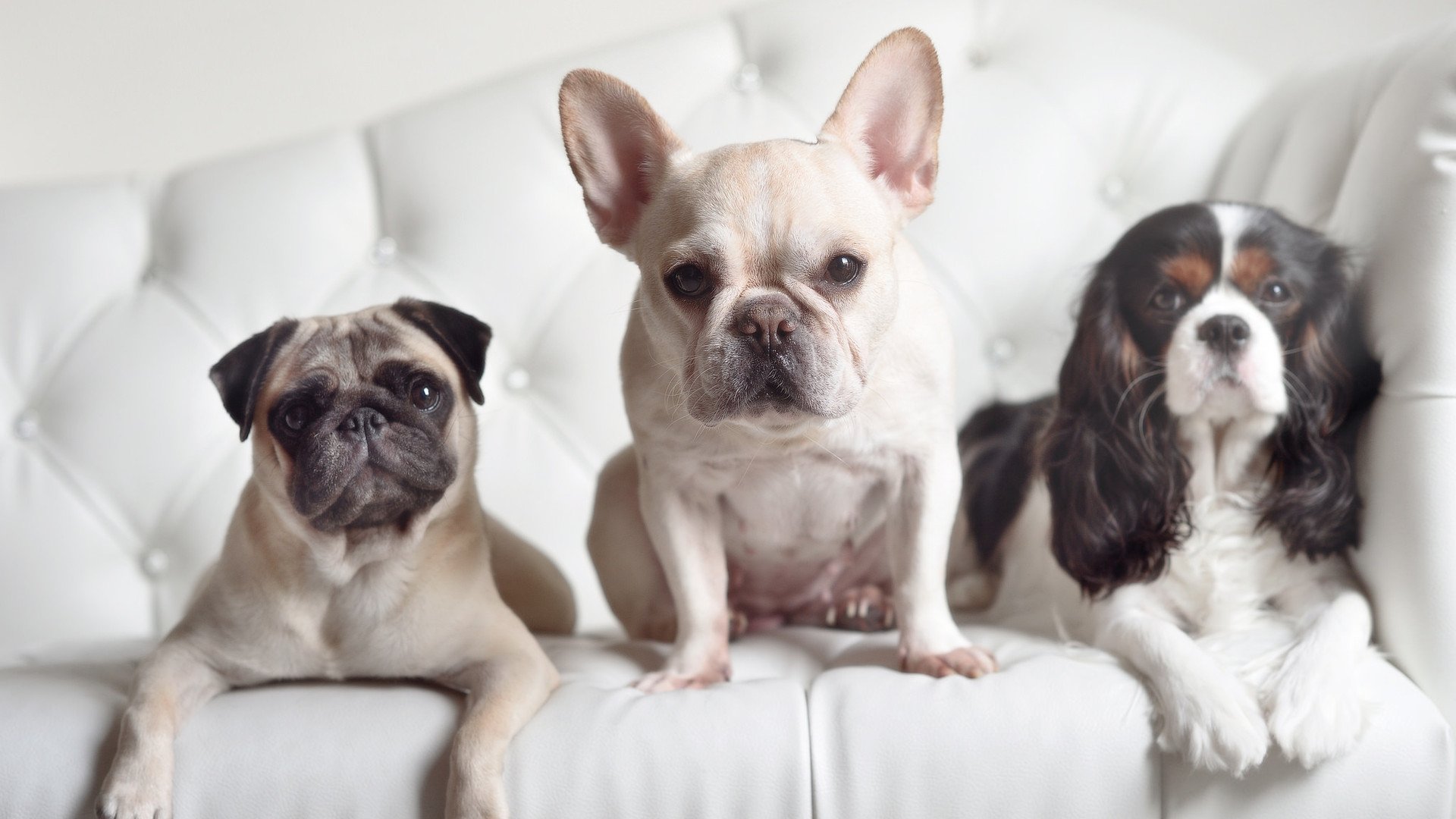 主场比赛安保加强增加观众通道提高安全与流通效率,比赛场合观众需注意什么