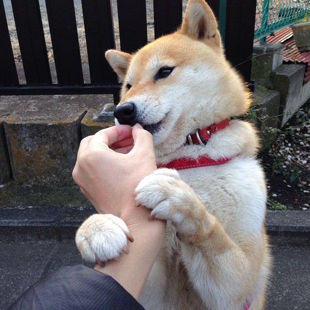 主场比赛安保加强增加观众通道提高安全与流通效率,比赛场合观众需注意什么