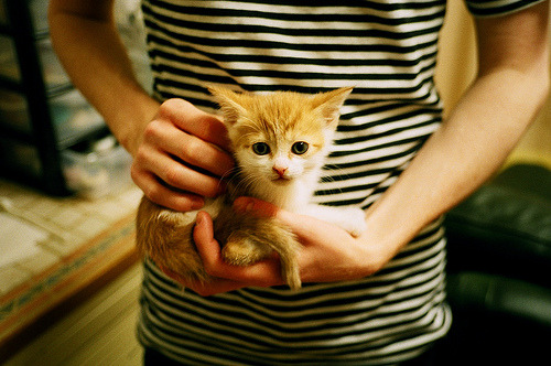 国家队引入比赛情绪引导课程培养抗压情绪管理