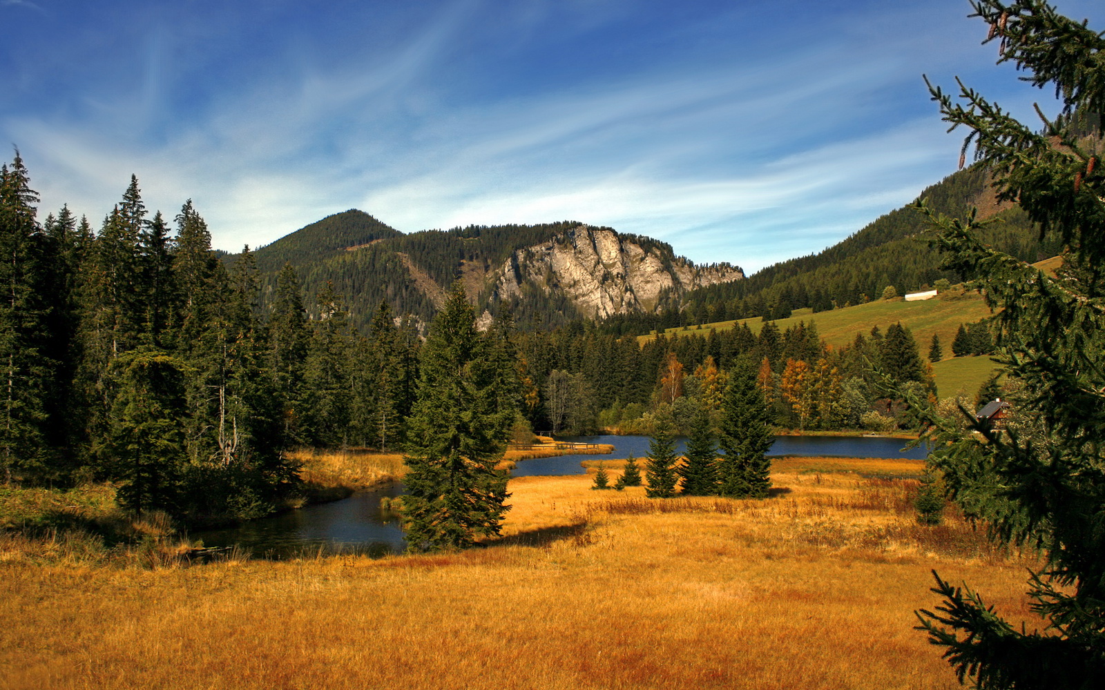 意甲极速反击:瞬间突入,赢得喝彩!,意甲速度榜