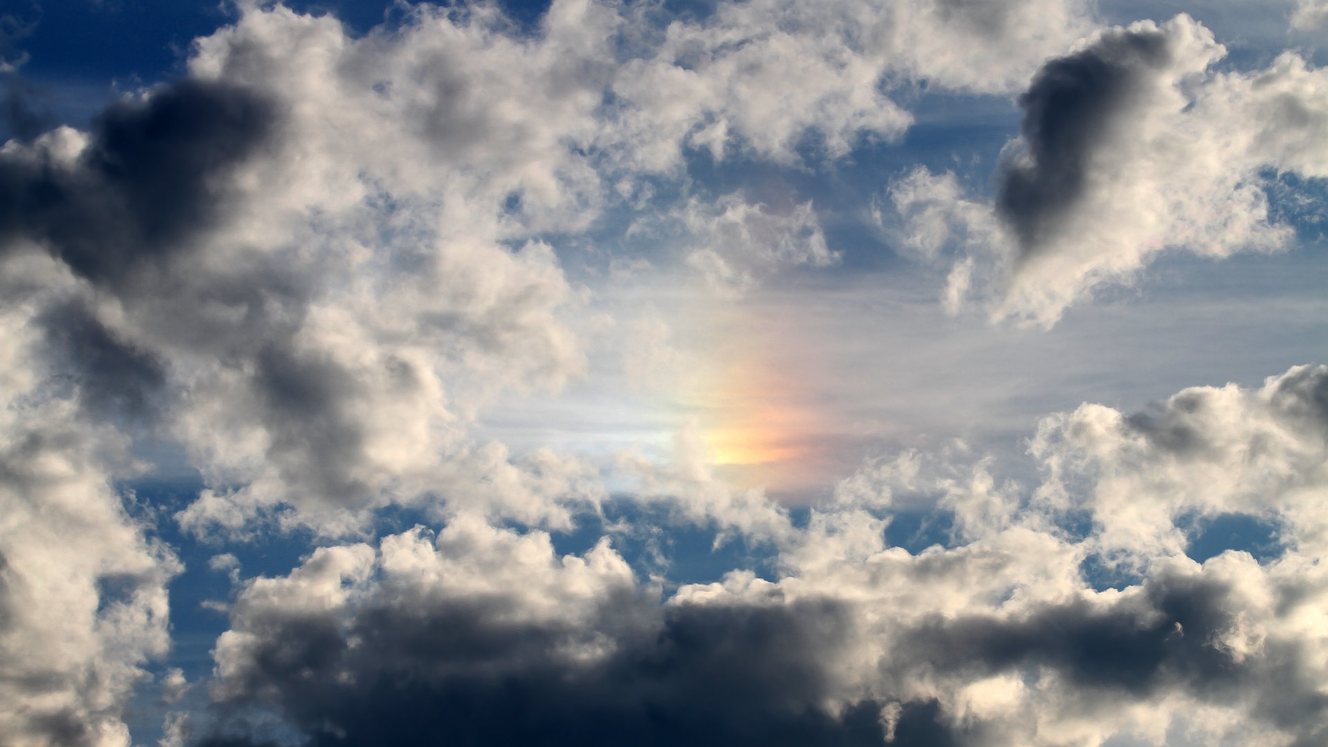 美洲杯荣耀夜:明星闪耀的最强舞台,美洲杯冠军奖杯叫啥