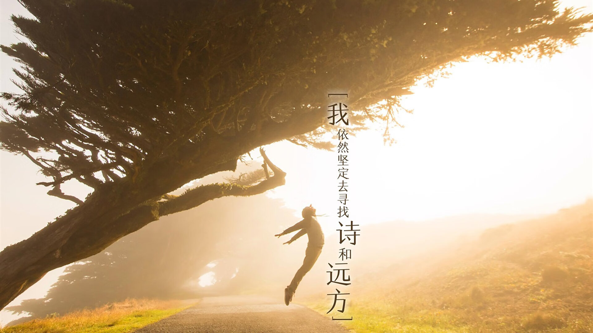 运动康复师制定个性恢复方案帮助球员更安全回归训练节奏,运动康复方案实例